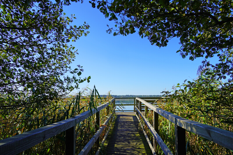 Müritz-Nationalpark: Ein Refugium, wo Himmel und Erde sich berühren Müritz-Nationalpark: Ein Refugium, wo Himmel und Erde sich berühren