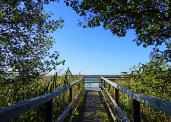 Müritz-Nationalpark